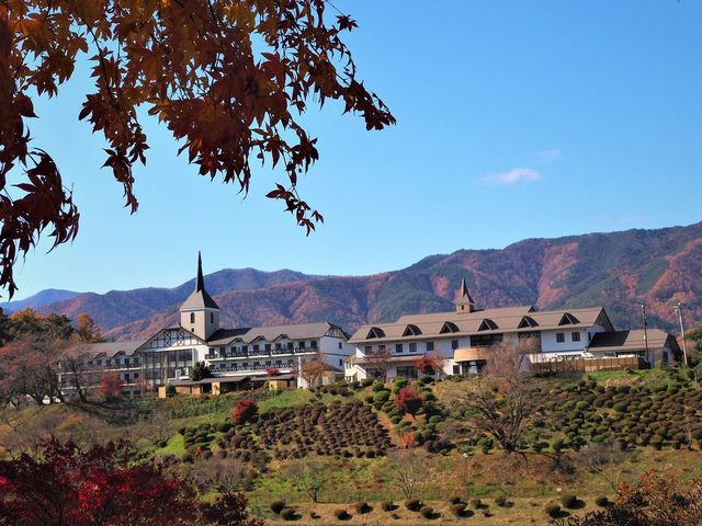 ������эL�ꂩ��̂��̃p�[�N�z�e��_���̍r�_�R����