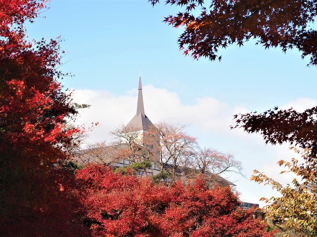 񂳂̂̍r_R̓eʐ^3