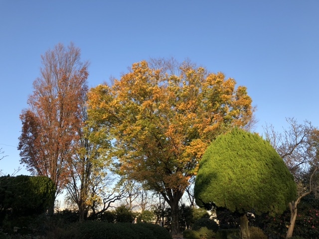 花 人気 と 緑 の 振興 センター バス