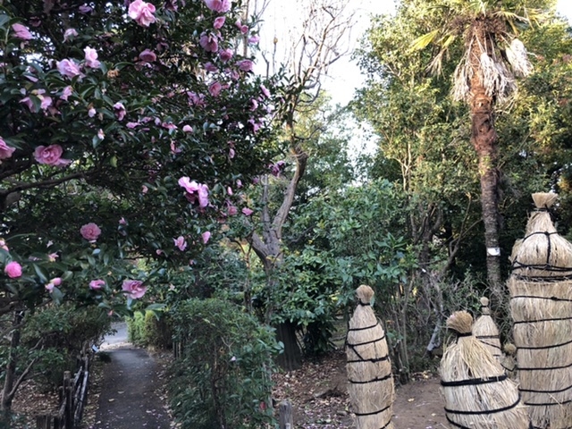 ��ʁ@�ԂƗ΂̐U���Z���^�[�@����_��ʌ��ԂƗ΂̐U���Z���^�[