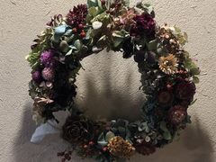 �͂��ׂ�����̃i�`�������K�[�f���숢�h�ւ̓��e�ʐ^1