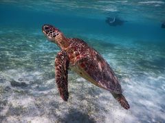 ݂SEA ENJOYւ̓eʐ^1