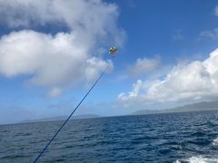 ^~t̐Ί_u[V[T[ւ̓eʐ^1