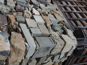 񂳂̕mRimRVtj̓eʐ^9