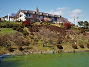 񂳂̂̍r_R̓eʐ^1