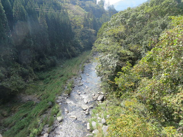 �Ԃ���񂳂�̖�����̓��e�ʐ^2