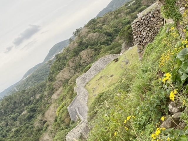 �Ί__���A�m���