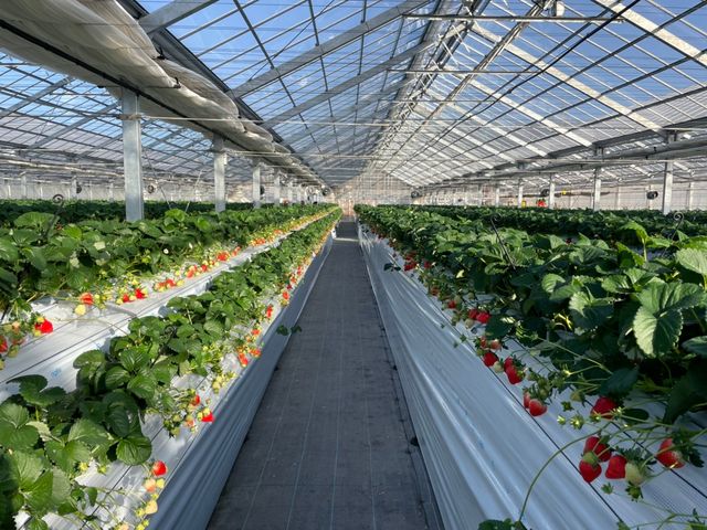 �����Ȃ����A�������܂ܐH�ׂ��܂����B_�z���܂�_��