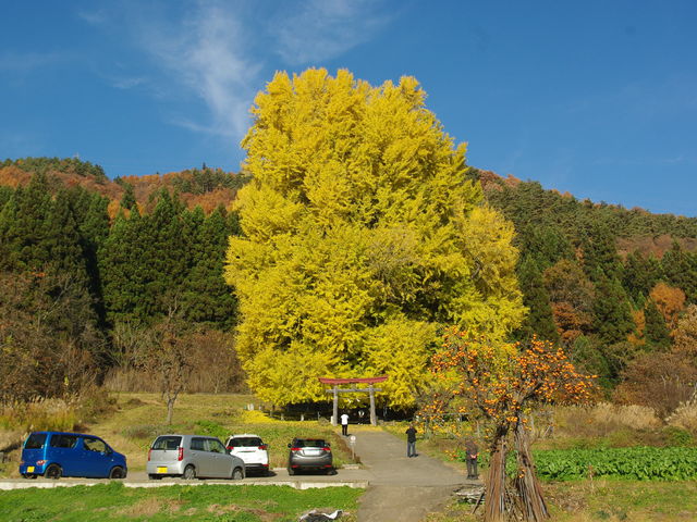 ^{剤̐_˂̑C`E̓eʐ^1