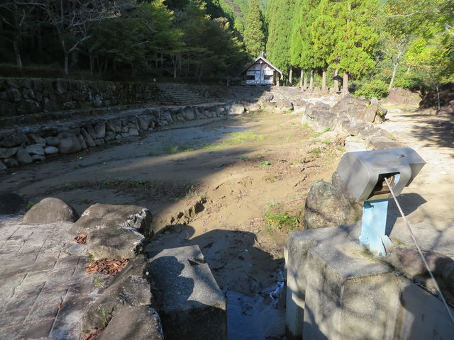 Ԃ񂳂̎R쌹͐v[̓eʐ^2