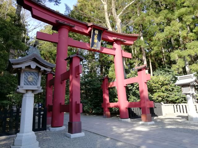 �\�F�_�Ђ́u��̒����v_�\�F�_��