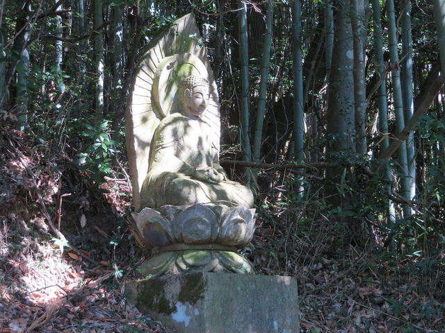 ������_�j�����ՁE�n���Ɋy