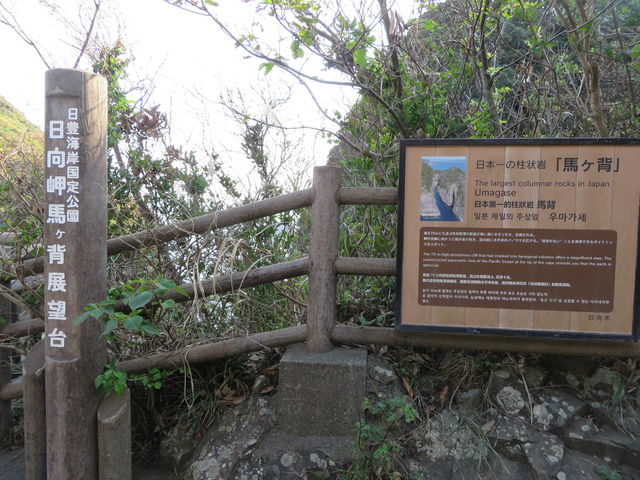 �W�]��_�n���w