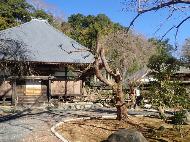 青蓮寺 茨城県常陸太田市 アクセス 営業時間 料金情報 じゃらんnet