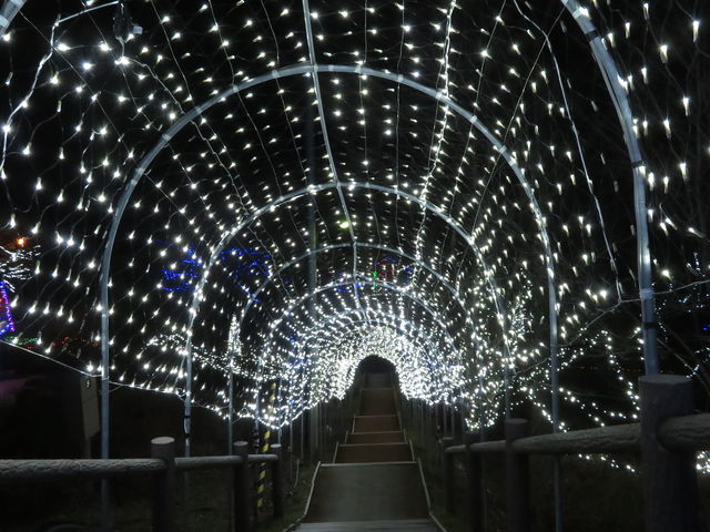 �g���l��_��ێR�X�ь���