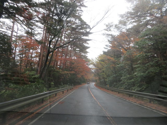 �g�t_��������