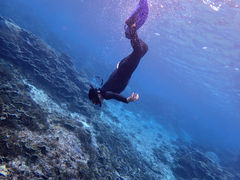 傤̈ɗǕ}KCh}nւ̓eʐ^1