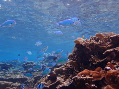 傤̈ɗǕ}KCh}nւ̓eʐ^3