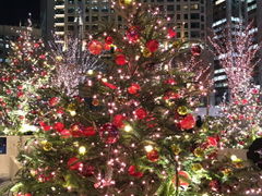 ����傤�܂�����̓����~�b�h�^�E������J�ւ̓��e�ʐ^2