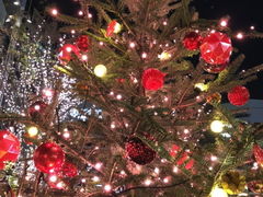 ����傤�܂�����̓����~�b�h�^�E������J�ւ̓��e�ʐ^3