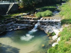 ܂낿񂳂̌F̐쉷 ǂ̓ւ̓eʐ^2