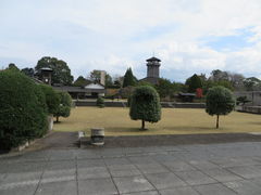 Ԃ񂳂̐lgNtgp[NΖւ̓eʐ^1