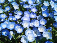 ܂낿񂳂̍cЂClւ̓eʐ^1