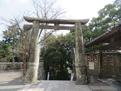 花ちゃんさんの武雄神社の肥前鳥居への投稿写真1
