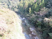 �Ԃ���񂳂�̖�����̓��e�ʐ^1