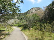 Ԃ񂳂̌DRy̍̓eʐ^1