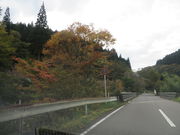 Ԃ񂳂̌܃kJ̍gt̓eʐ^1