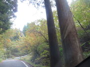 Ԃ񂳂̌܃kJ̍gt̓eʐ^2