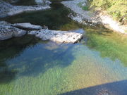 Ԃ񂳂̎R쌹͐v[̓eʐ^1