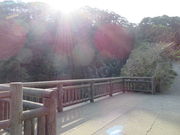 Ԃ񂳂̈ɐPl`ד̓eʐ^3