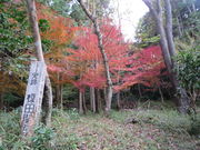 Ԃ񂳂̉|c֐Ղ̓eʐ^2