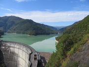 Ԃ񂳂̓ŗt΂̓eʐ^1