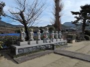 �͒j�N����̋v�����̓��e�ʐ^1