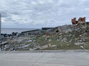 �����낤����̗Ӎz�Β����ɐՂ̓��e�ʐ^1