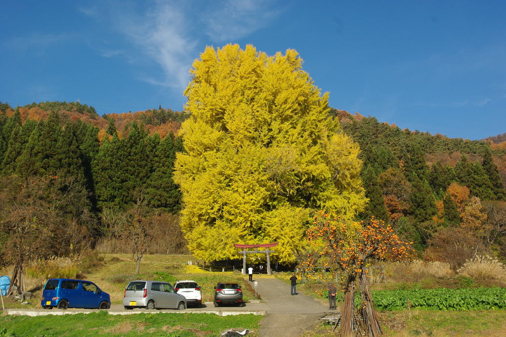 長野の動物園 植物園ランキングtop10 じゃらんnet