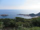 花ちゃんさんの伊勢ケ浜～細島灯台の投稿写真2