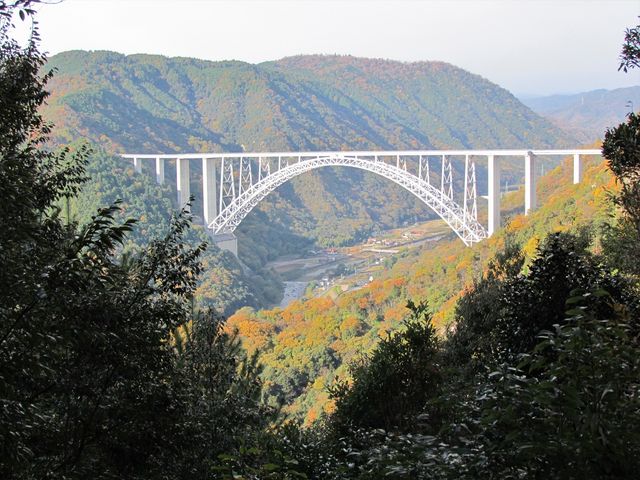 X^WIYOU̍L`勴̓eʐ^2