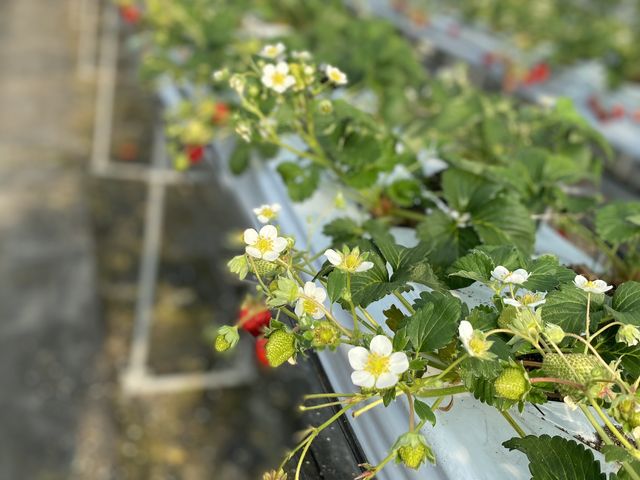 �n�E�X�̒��͂����������̂ŃR�[�g�͂���Ȃ��ł��ˁI_��t�@�[���i�L�n�x�m�j