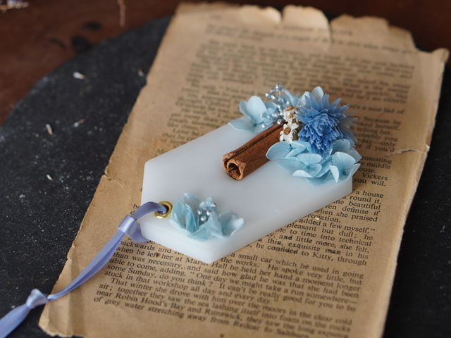 �A���}�T�V�F_JCA�@�L�����h���X�^�W�I�@���Z