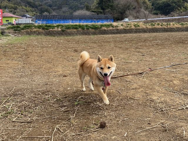 �Ŕ��̂䂫�����A�ƂĂ����킢��_�ԍՂ������̒J