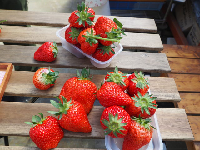 �R���肢����_���؂������_��