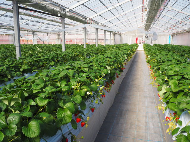 ��������_���؂������_��