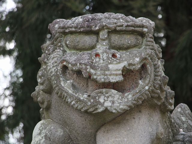 Yanwenlï_Ђ̓eʐ^5