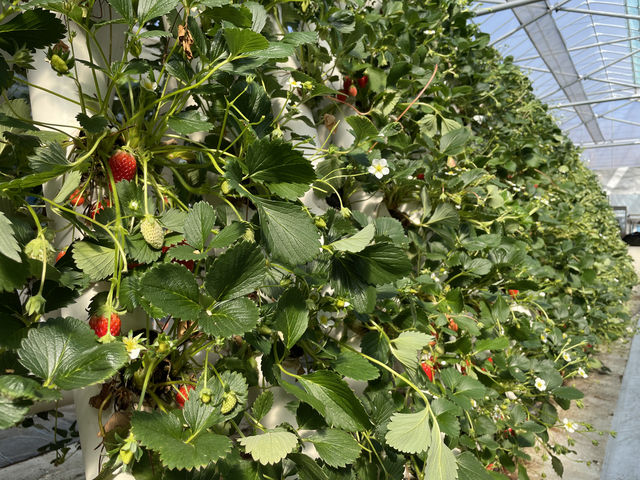 ���[���ɑ����䕂�����F��Ȗ����y���߂܂����B
�`���R�E���N���[�����̃T�[�r�X�͍X���ґ�ȋC���ɁI_�������̉���