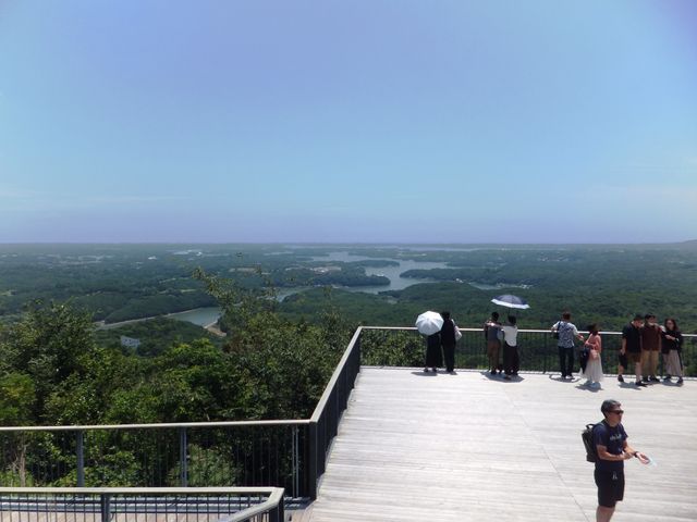 ���R�W�]��̗l�q_���R�W�]�� (���R�V��J�t�F�e���X)