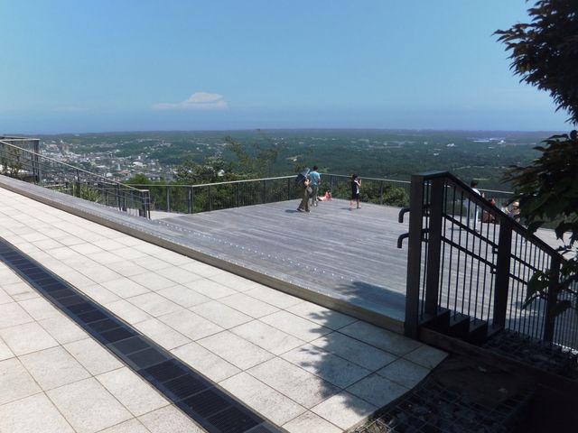 ���R�W�]��̗l�q_���R�W�]�� (���R�V��J�t�F�e���X)